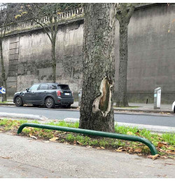 Arceau de bordure espace vert