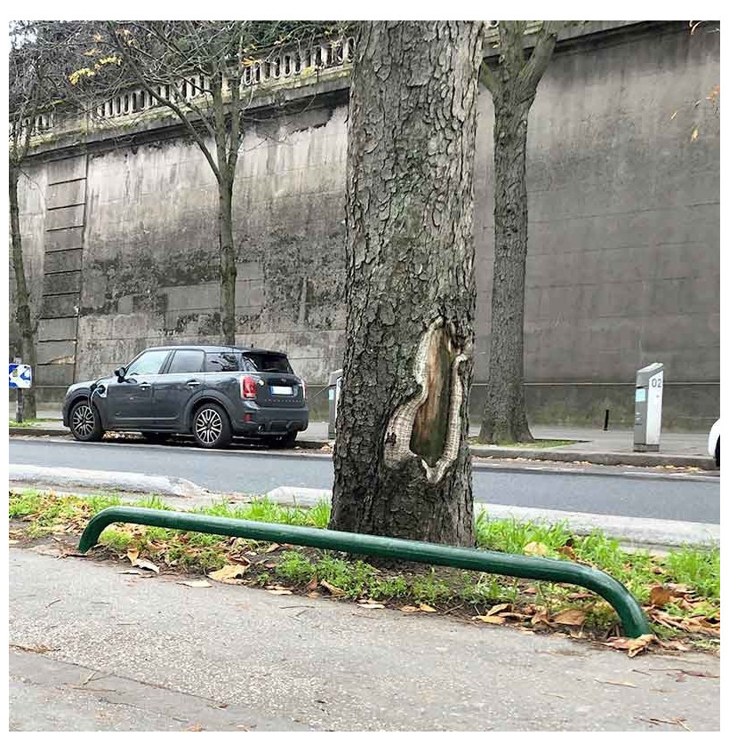 Arceau de bordure espace vert