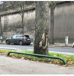 Arceau de bordure espace vert